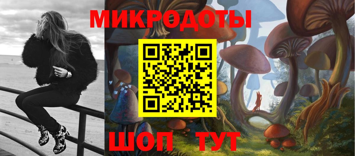 Псилоцибиновые грибы Cubensis  Вход с VPN  Минеральные Воды  Галлюциногенные грибы мухоморы 